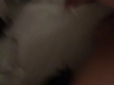 到处求操！